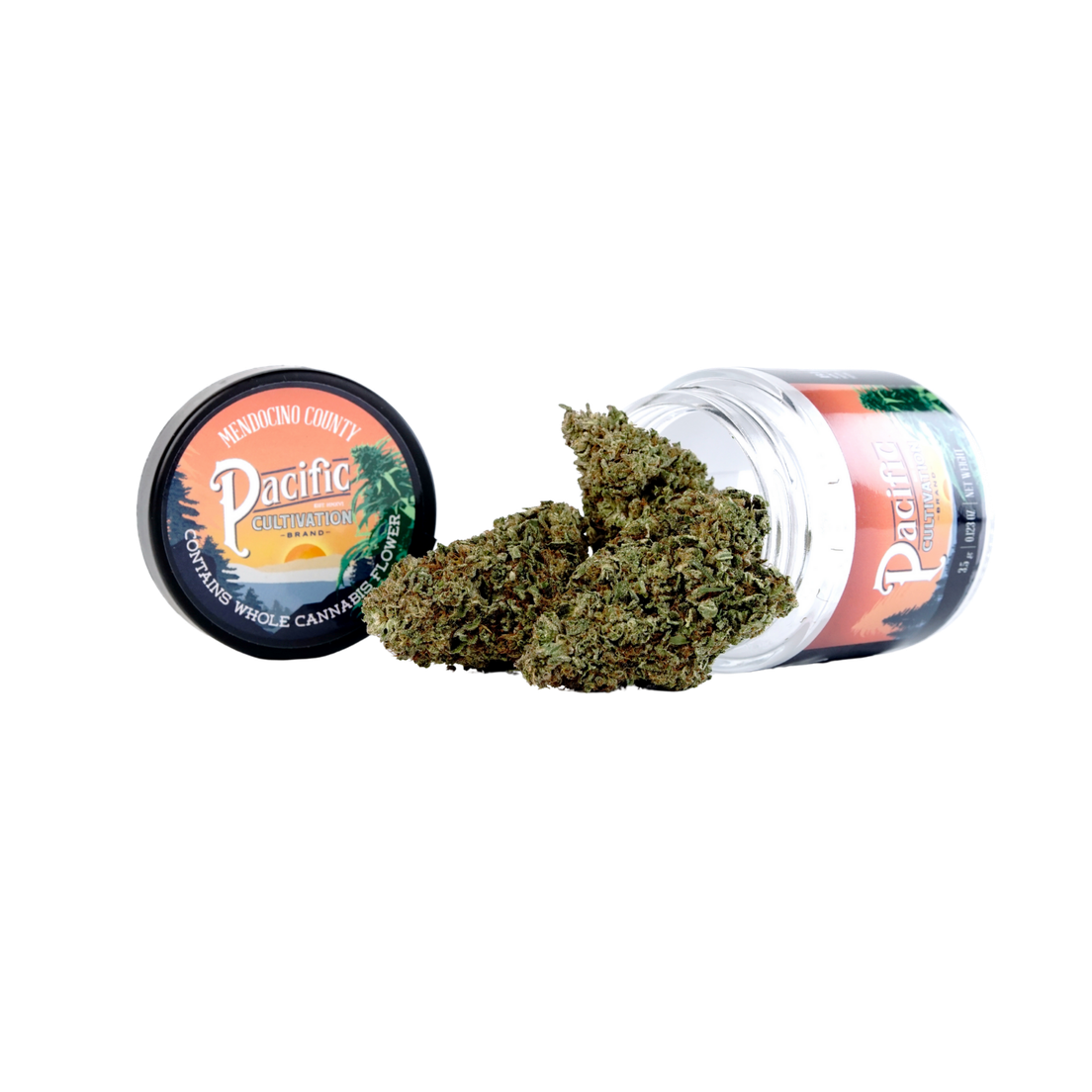 Pacific Cultivation | Flower | 3.5g | Purple Thai
