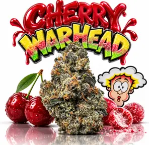 CHERRY WARHEAD - 14G | INDOOR FLOWER