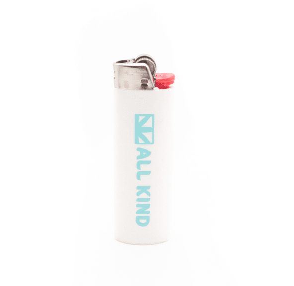 All Kind Bic Lighter