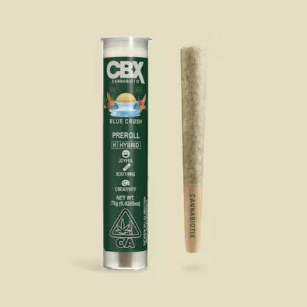 Blue Crush Preroll