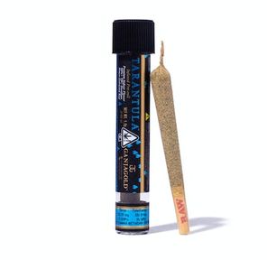 D. Blue Tarantula 1.2g Indoor Infused Pre Roll - Purple Push Pop (H)