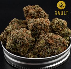 AAAA | ISLAND PINK ⭐️ NEW ARRIVAL ⭐️