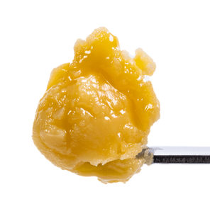 Juiceman Live Resin Badder