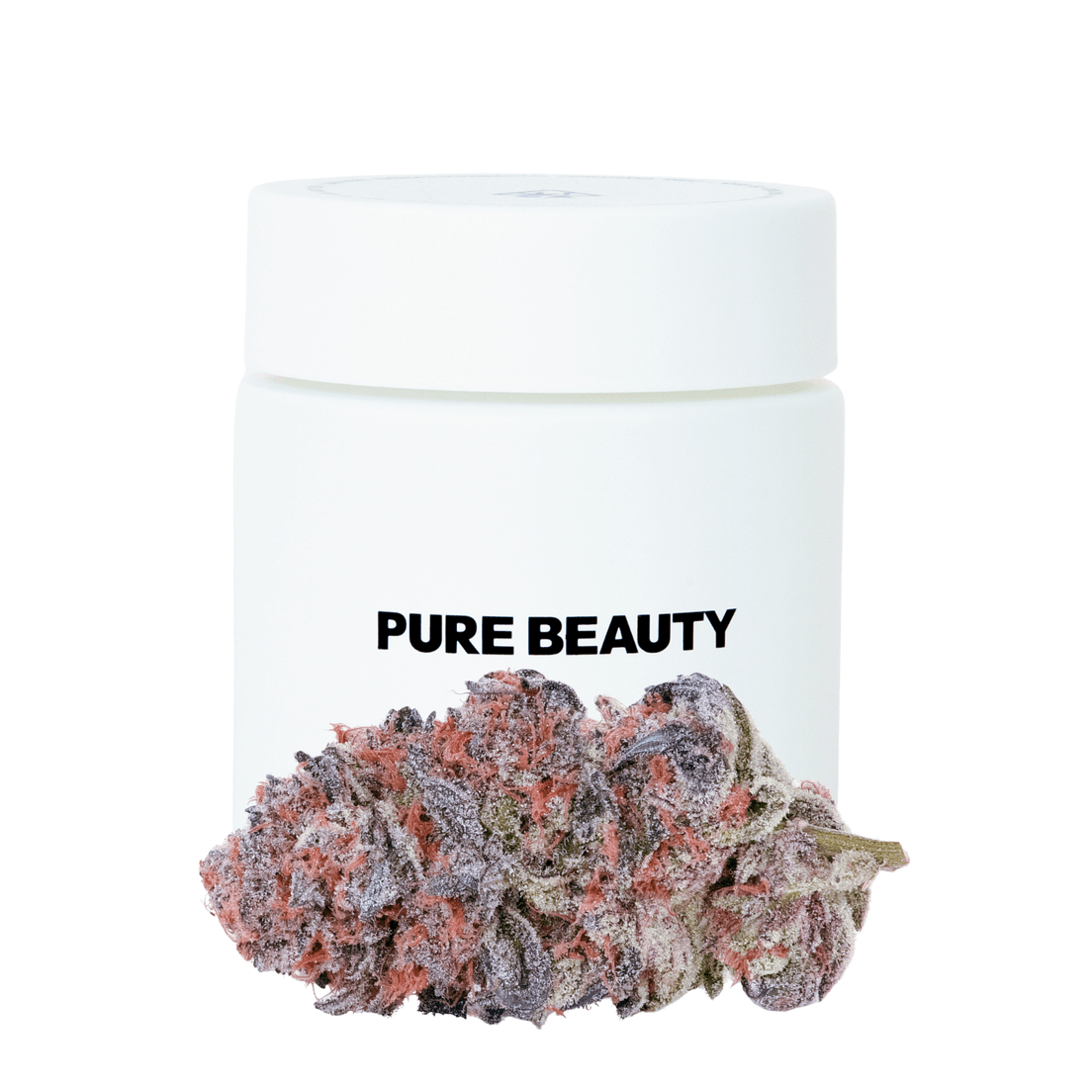 Pure Beauty | Flower | 3.5g | 1:1 CBD/THC | Gush Mints