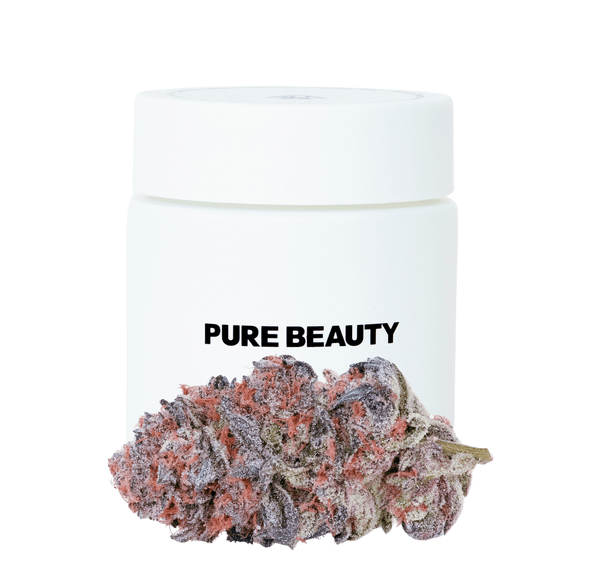 Pure Beauty | Flower | 3.5g | 1:1 CBD/THC | Gush Mints