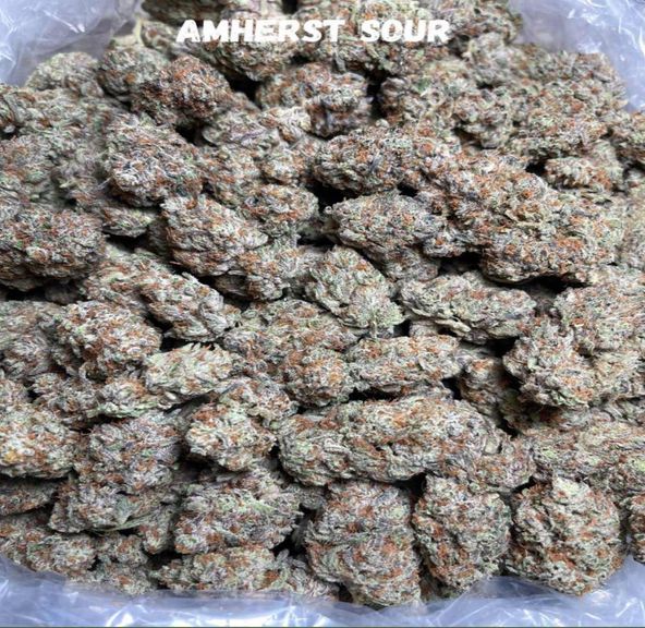 Amherst Sour (Shamrock Farms)