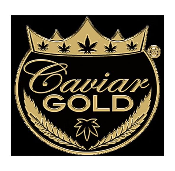 Cavi Cone - 1.3g Infused Glass Tip Joint - Cloud Chaser