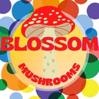 BLOSSOM - 5mg RSO CAPSULES + .5g CORDYCEPS MUSHROOMS 48/bottle - AWAKE