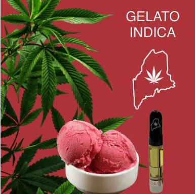 Gelato Highcoast 1G