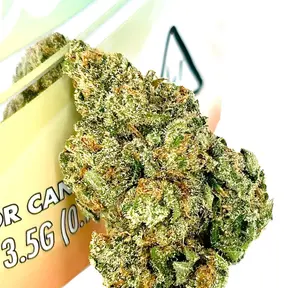 DAILY SMOKE - Galactic Jack - 3.5g
