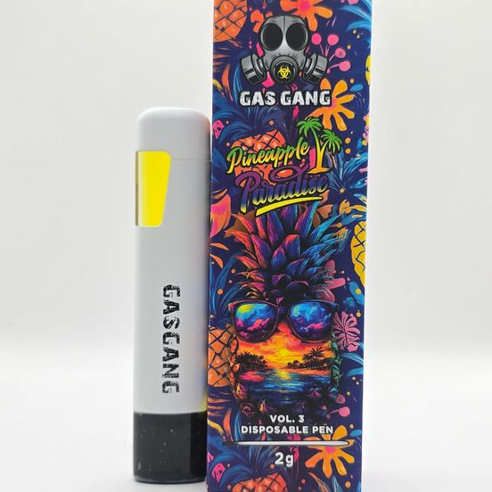 elf bar vape uk Damn Good Paradise Punch Disposable 2G main image 1