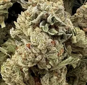 14g - ORIGINAL GLUE - (AAA)