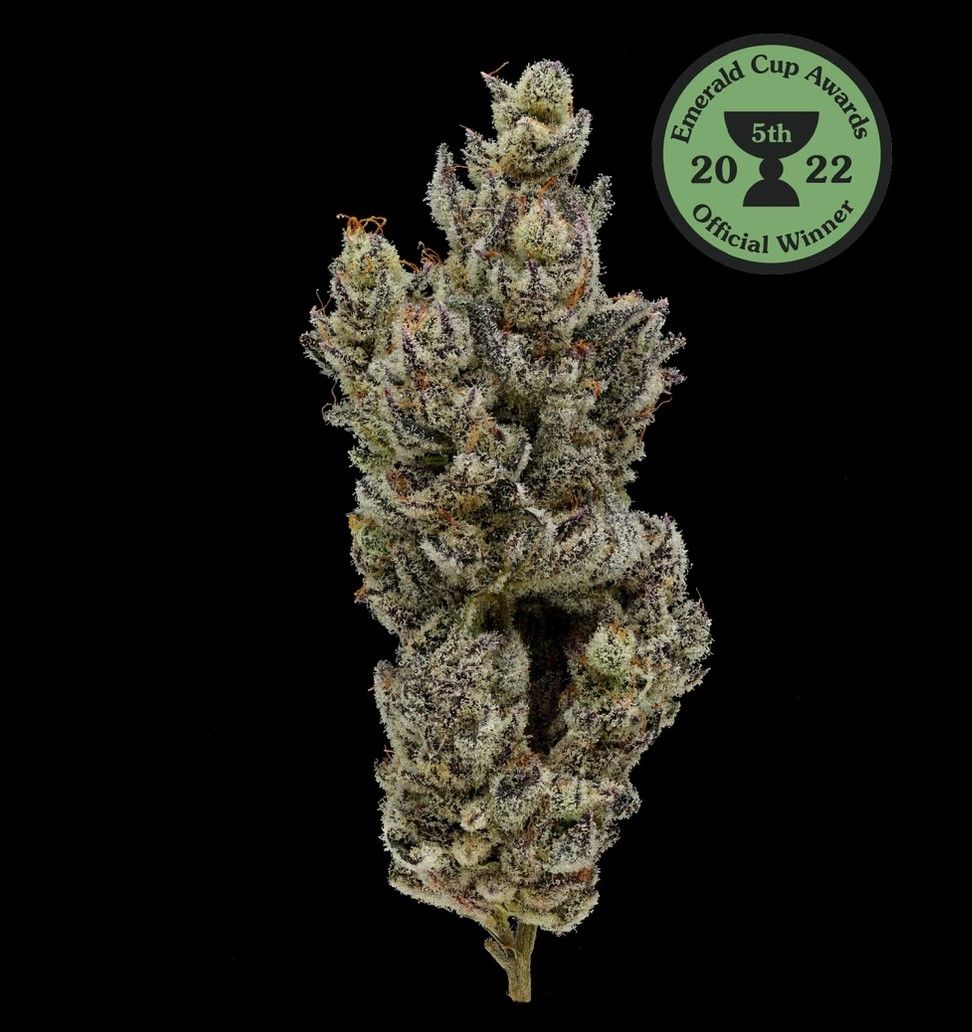Fig Farms - Holy Moly! (39.10% Indica Hybrid) - 3.5g Flower