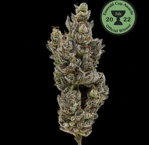 Fig Farms - Holy Moly! (39.10% Indica Hybrid) - 3.5g Flower