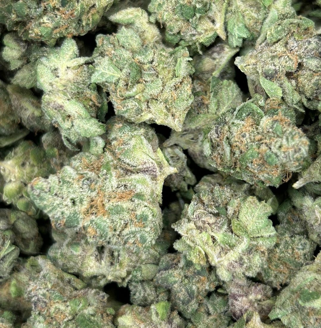 87 Lime Pop Flower