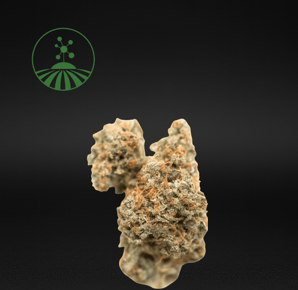 Molecular Farms | Space Gas - Flower | 3.5g | Hybrid