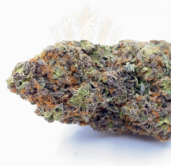 Apple Gelato