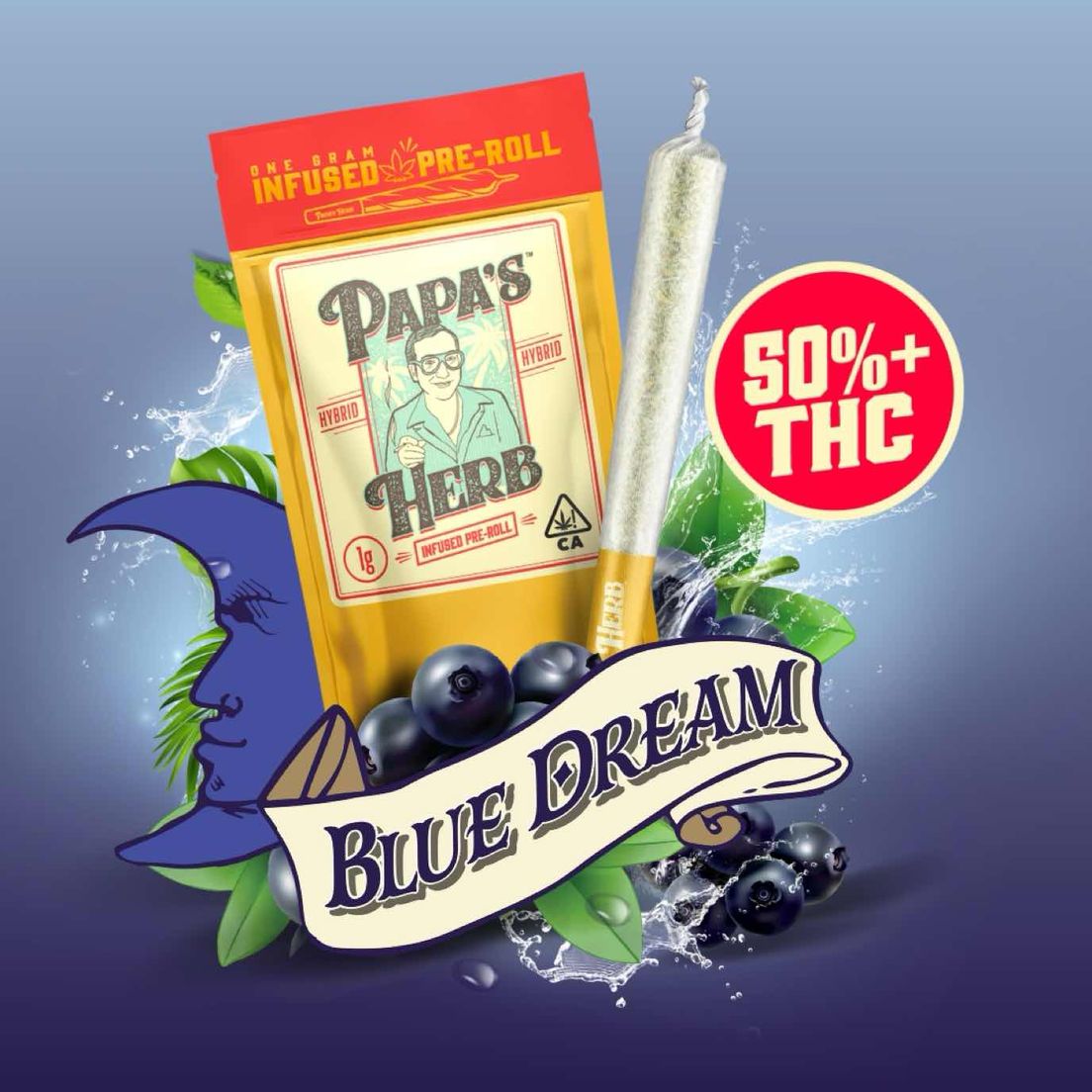 Papa's Herb - Blue Dream (1g) Infused Preroll 1g