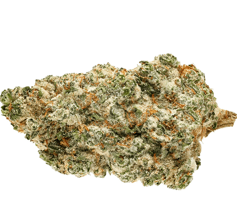 KUSH COMPANY SUPER WICKED 3.5G FLOWER INDOOR HYBRID