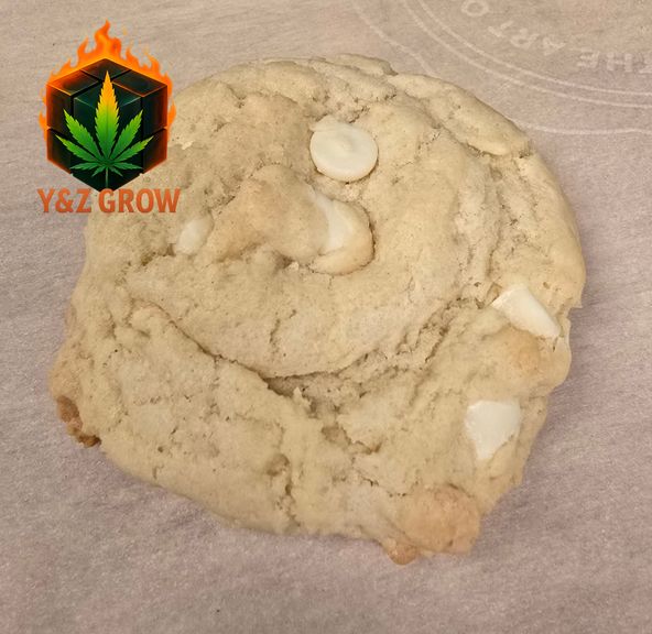 Banana Cream Cookie 85 MG