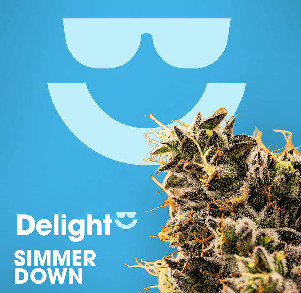 Delight | Simmer Down | 1g Pre-Roll