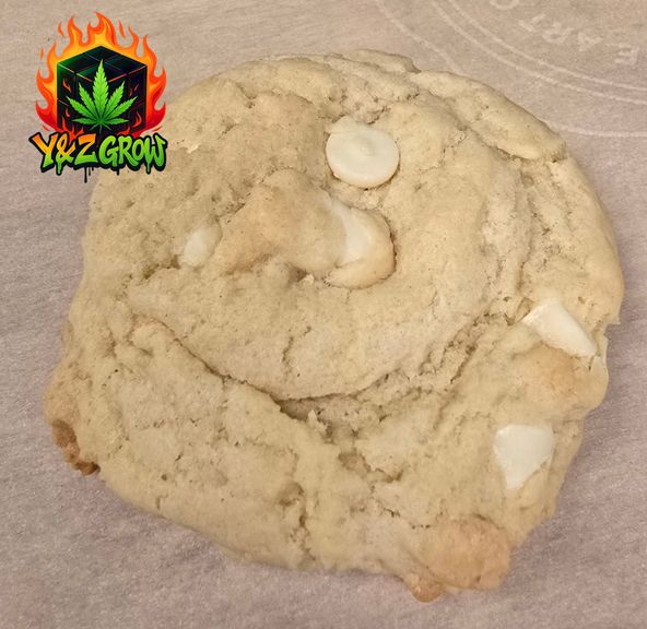 Strawberry & White Chocolate Cookie 85MG