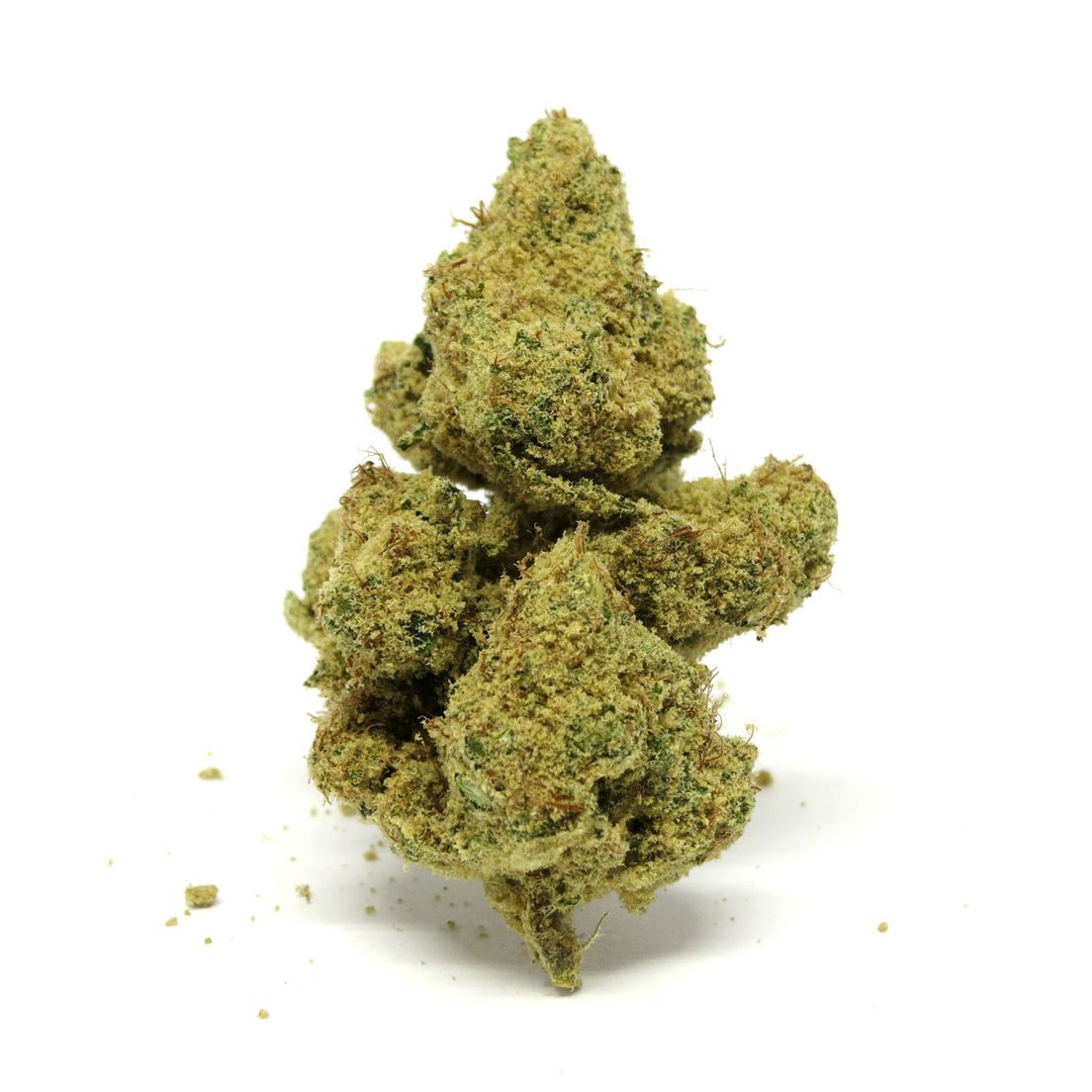 3C | Clockwork Elves Sativa