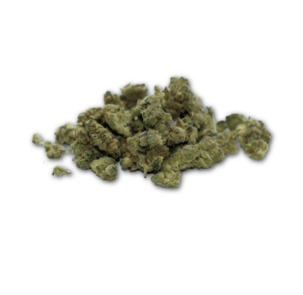 STICKY GLUE - 28G | INDOOR SMALLS