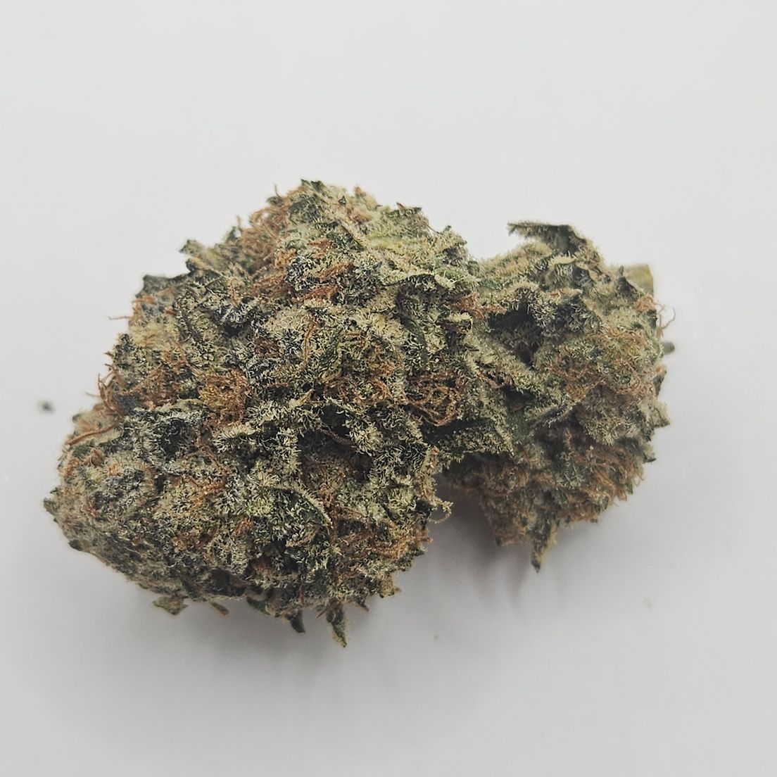 *Indoor - Blue Dream - 24% - SDH