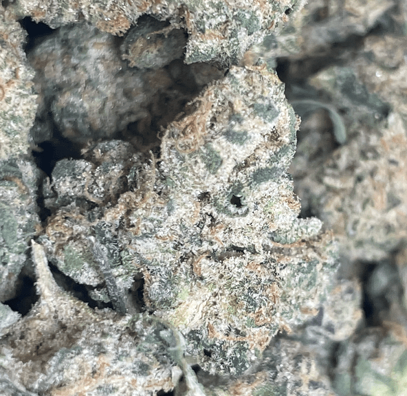 E-Farms - Purple Kush - 3.5g