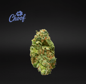 Choof (Cultivated by DC's Finest) | Sour Puss - Flower | 3.5g | Sativa-Hybrid