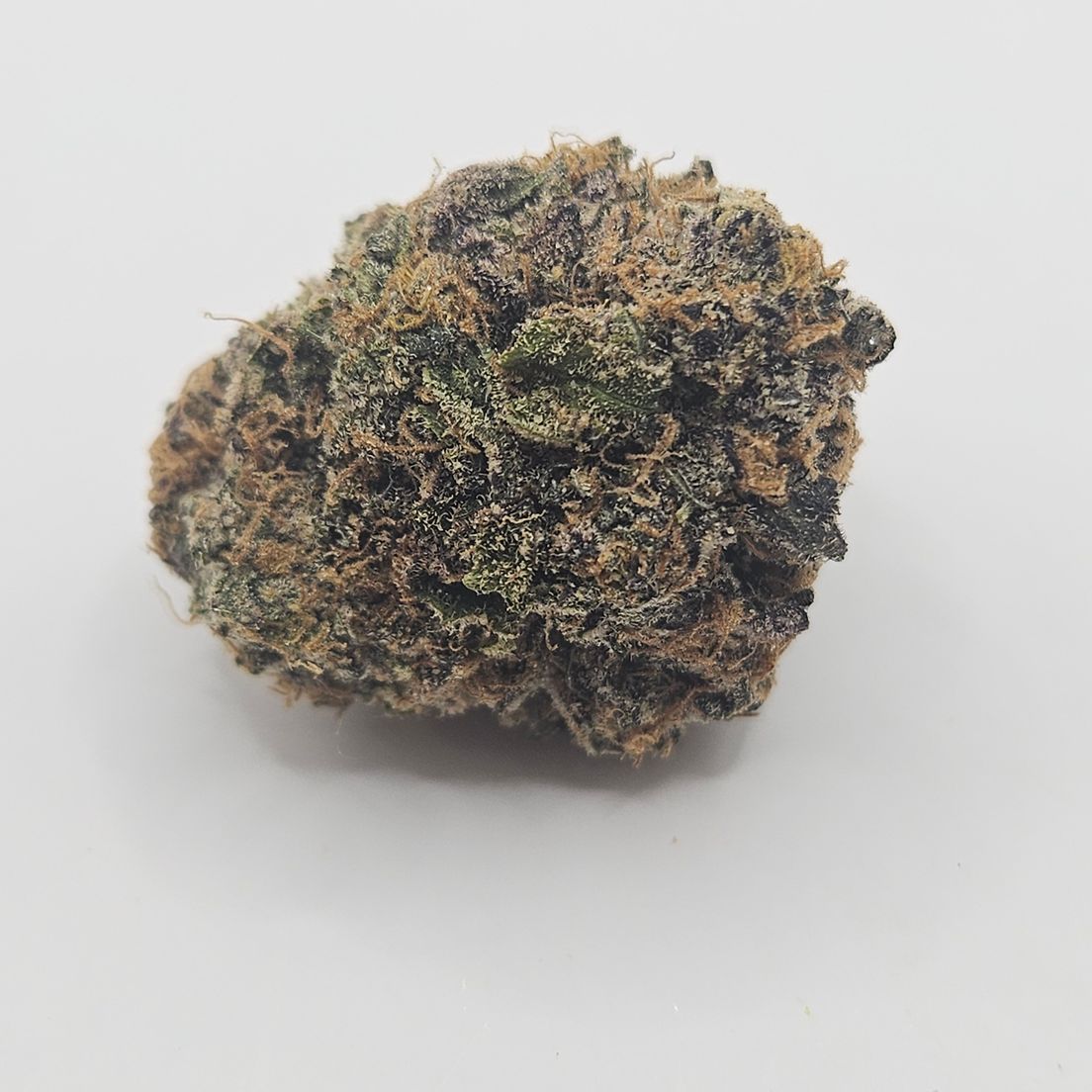 *Indoor - Pink Goo - 24% - IDH