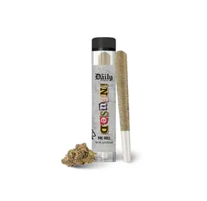 The Daily Infused Pre-roll Government Oasis 1g