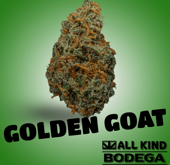 Golden Goat 3.5g Flower (@jarcannabis2.0)
