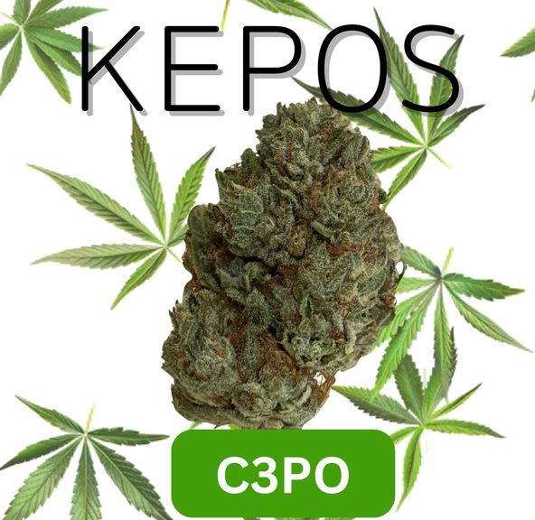 Kepos - CP30 14g - Premium Flower