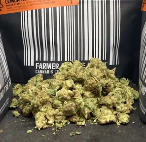 FARM AND THE FELON LEMON KUSH MINTS 1/2 OUNCE THC 24.47%