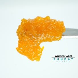 Golden Goat 1G Sunday Cured Resin