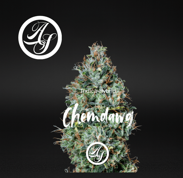 Alt Sol | Chemdawg - Flower | 3.5g | Sativa-Hybrid