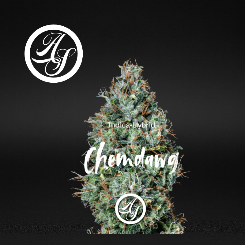 Alt Sol | Chemdawg - Flower | 3.5g | Sativa-Hybrid