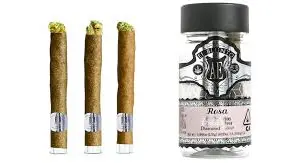 El Blunto - Blunt