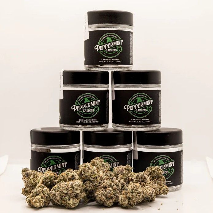 Peppermint Gardens - Peppermint GG premium indoor flower JAR 3.5g