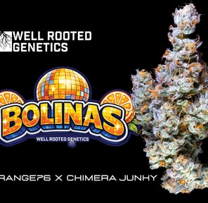 Bolinas - Well Rooted