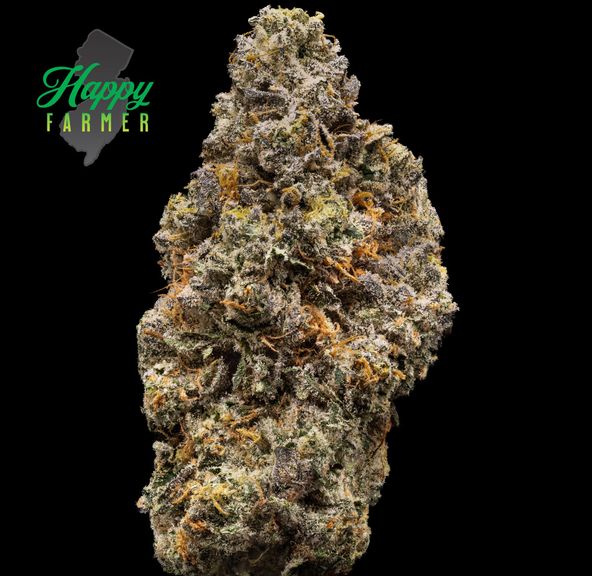 The Happy Farmer | On Point | 3.5 g Flower