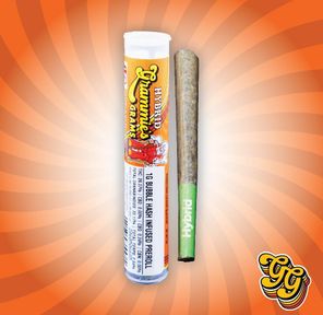 GRAMMIES GRAMS GELATO 41 BUBBLE HASH INFUSED PREROLL 1G