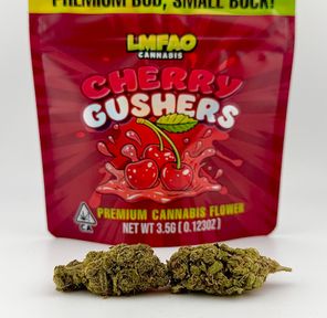 1/8 Cherry Gushers (26.22%/Hybrid) - LMFAO