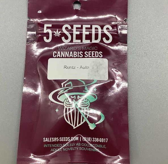 5 Seeds Autoflower Feminized Seeds- Runtz