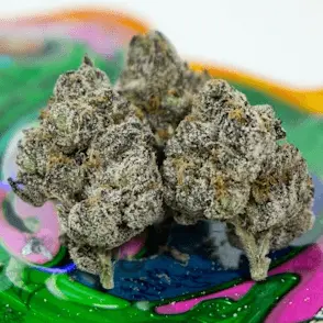 Gummy toad 3.50 g
