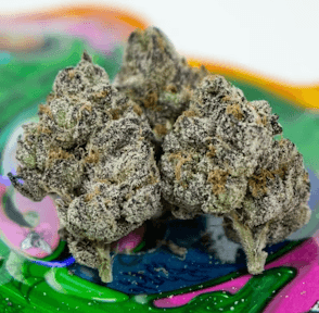 Gummy toad 3.50 g