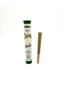 Trainwreck