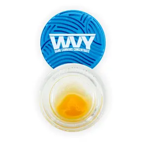 Gascotti Budder 1.00 g